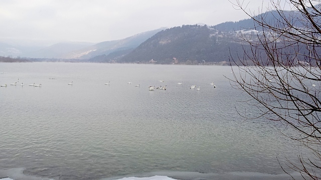 20160103_113354