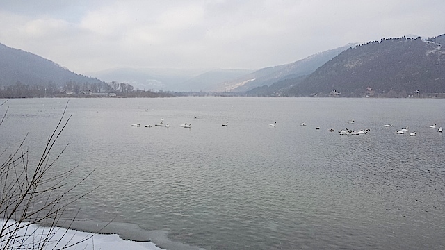 20160103_113356