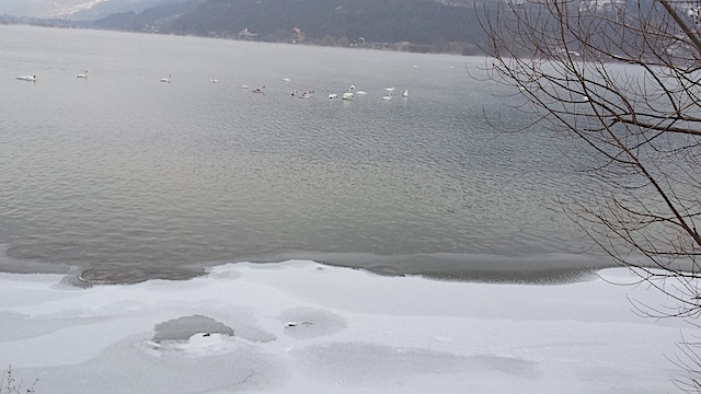 20160103_113405