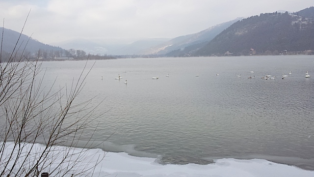 20160103_113412