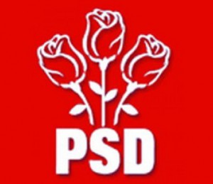 PSD Piatra Neamț începe selecția consilierilor locali