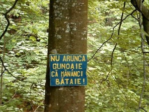 Metamorfoza gunoiului românesc în deșeu european (II)