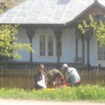 Șeful Poliției Locale Bălțătești la lipit de afișe PSD