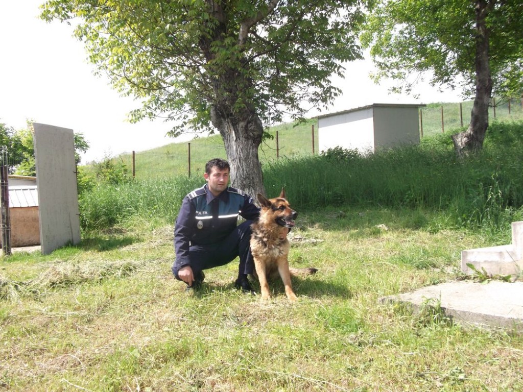 Leto si conductorul Catalin Baciu