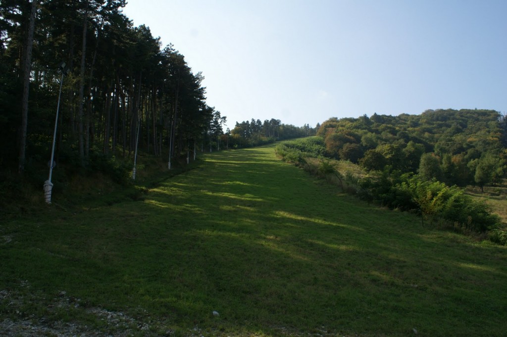 partia de schi