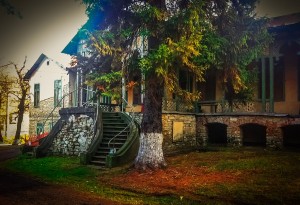 Moștenitorii Cazinoului Bălțătești și ai Casei Caradja – proprietari peste ruine