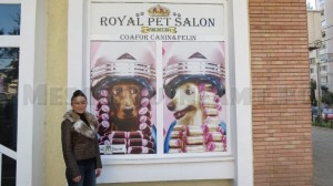Royal Pet Salon, răsfăț regal pentru câini și pisici