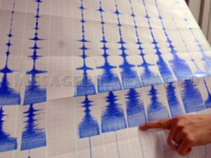 Cutremuri de 4,1 în zona Vrancea