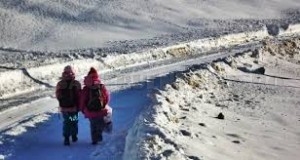 Școli din Boghicea și Valea Ursului închise din cauza gerului