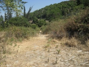 TRASEE DE PATRIMONIU: Calea mare – ”autostrada” romanilor, descoperită de zimbri