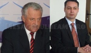Fuziunea PC-PLR: Președinții de la Neamț au luat o piatră-n gură