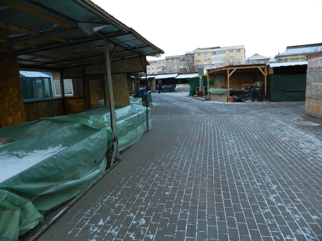 Piatra-Neamț: Cum ”petrec” piețarii la -16 grade Celsius