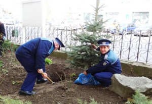 Poliția Neamț: ”Plantăm și protejăm”