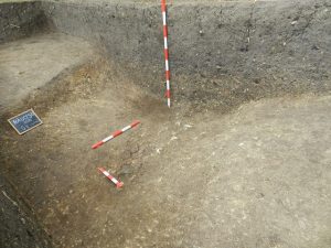 Importante descoperiri arheologice la Răucești