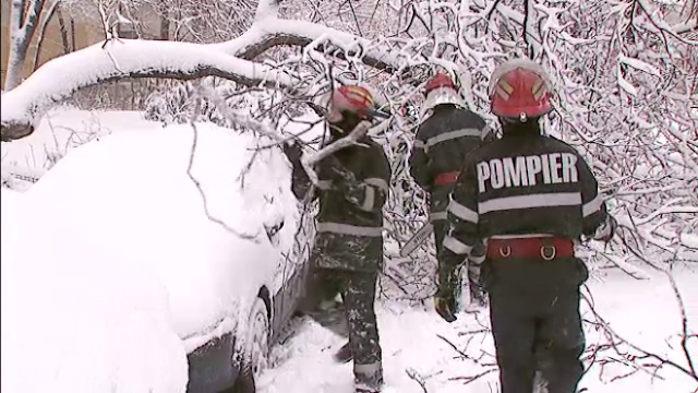 Două mașini – avariate de crengile unui copac rupt la Piatra Neamț