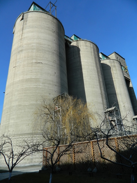 Dincolo de porțile fabricii de ciment de la Tașca e… „beton”! GALERIE FOTO