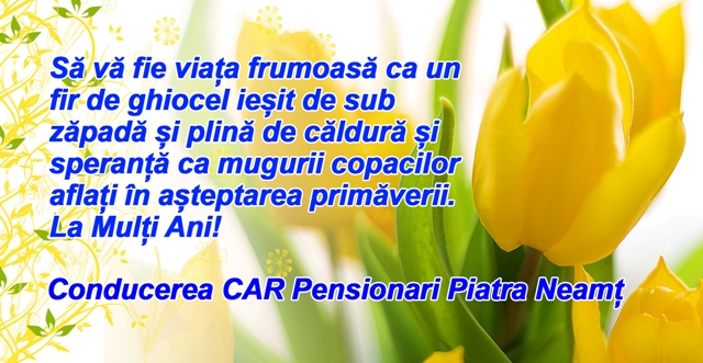 Car pensionari