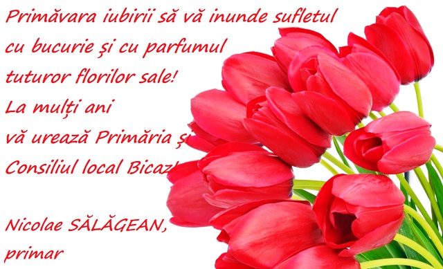 bicaz