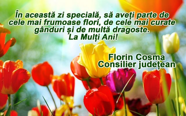 florin cosma