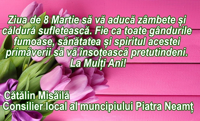 misaila d