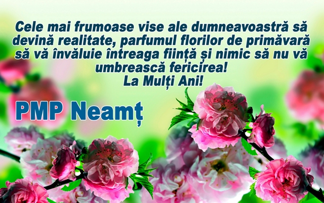 pmp neamt