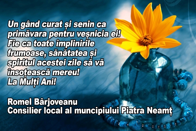 romel barjoveanu