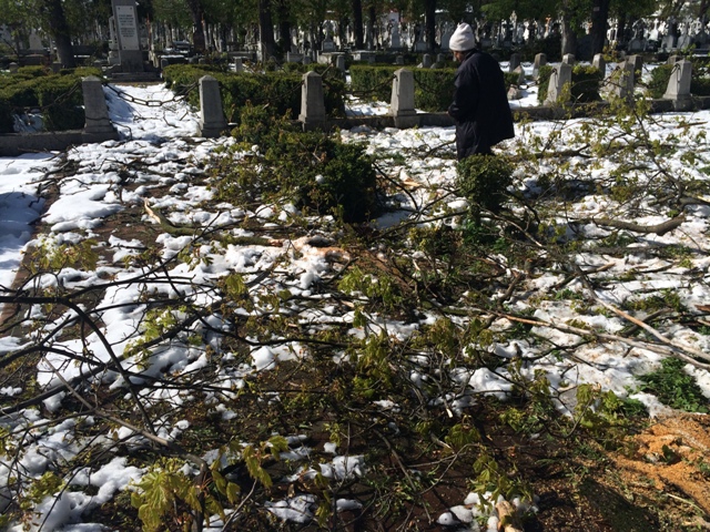 FOTO Furia naturii s-a manifestat și în Cimitirul ”Eternitatea”