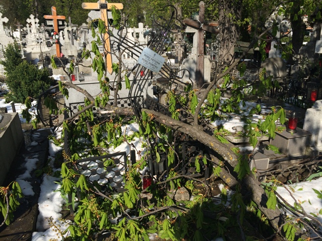 FOTO Furia naturii s-a manifestat și în Cimitirul ”Eternitatea”