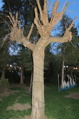 copac 2