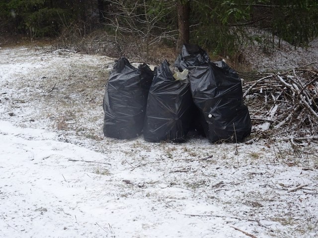 76 de depozite ilegale de gunoi descoperite de Romsilva Neamț și curățate