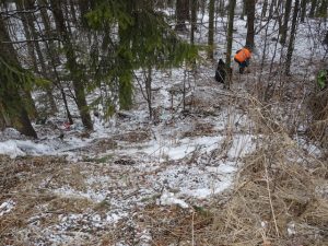 Bărbat strivit de un copac în pădurea Dobru, comuna Vânători Neamț 1 curatenie pădure 1