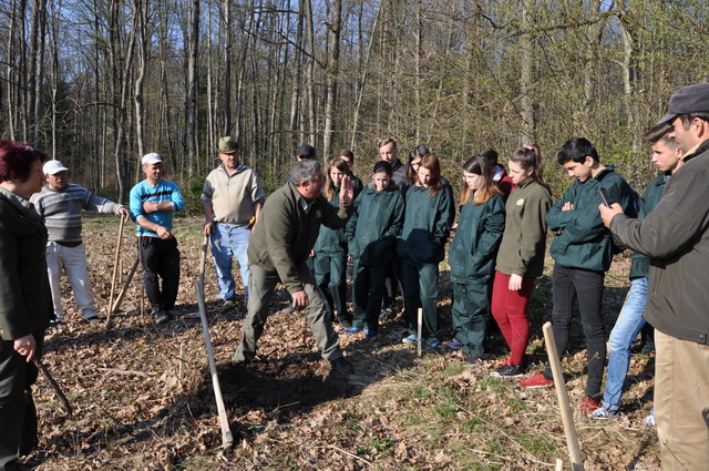 GALERIE FOTO VIDEO Direcția Silvică Neamț: Luna plantării arborilor la final