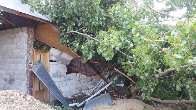 Târgu-Neamț: Plopi smulși din pământ în Blebea