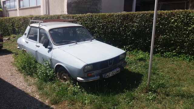 FOTO Târgu-Neamț: Colecție de mașini abandonate