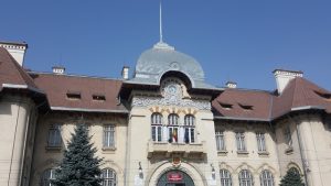 Înalta Curte de Casaţie şi Justiţie dă o mână de ajutor Complexului Muzeal Național Neamţ