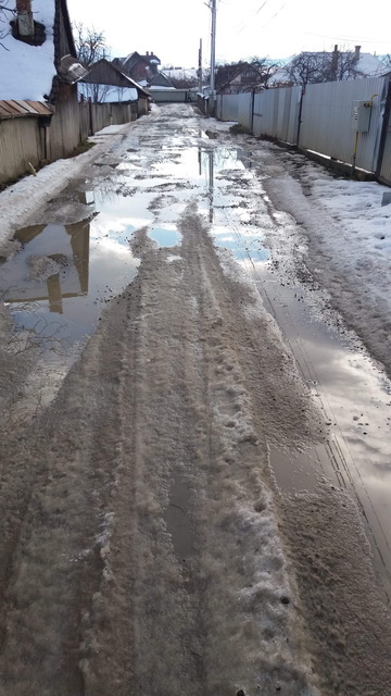 Locuitorii de pe strada Garoafelor (Târgu-Neamţ): &#8220;Noi vrem asfalt!&#8221;