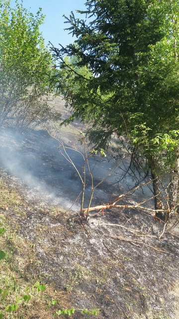 FOTO Incendiu de vegetaţie la Toşorog! Pompierii luptă de 24 de ore cu focul!