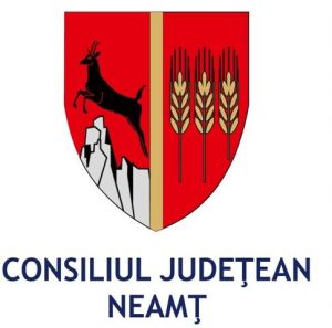 Ședință extraordinară a Consiliului Județean Neamț, altă rectificare de buget