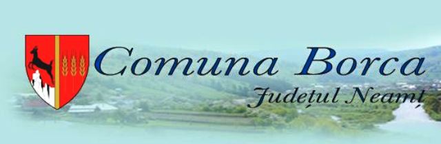 Comuna Borca – Anunț de licitație comuna borca