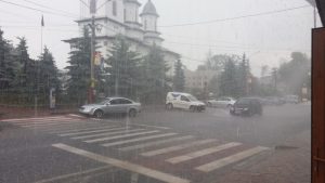 COD PORTOCALIU, de furtuni, în zona Târgu Neamţ