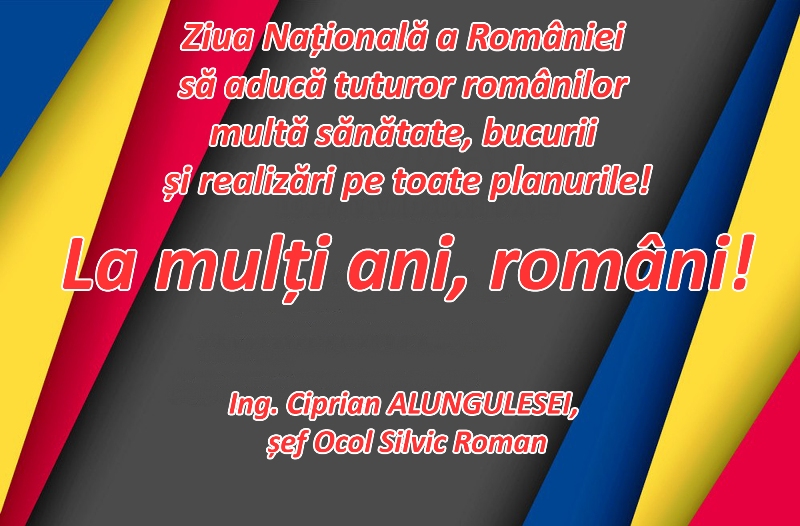 Silvicultorii din Neamț &#8211; mesaj de Ziua Națională