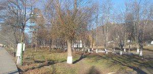 Târgu Neamţ: Încă o încercare de reabilitare a Parcului Cetate