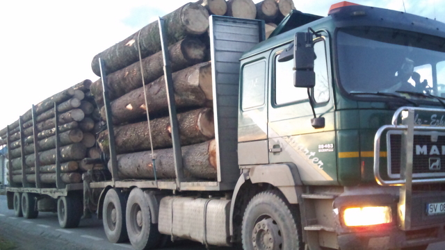 ”Se închid exploatările forestiere, de aceea sunt camioane cu lemn pe drumuri”, declară purtătorul de cuvânt al Direcției Silvice Neamț