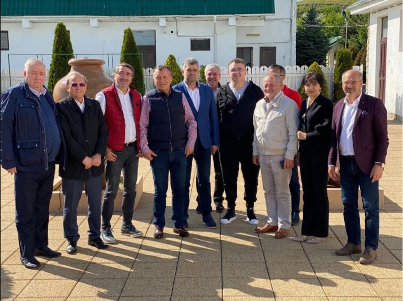 Ce au discutat șefii PSD din Moldova cu Ciolacu