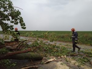 Furtuni puternice și grindină în Neamț. Copaci doborâți pe șosea la Girov și mai multe localități fără curent electric