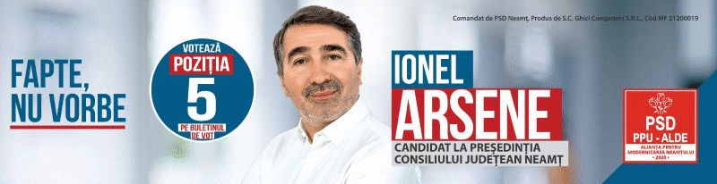 alegeri locale psd