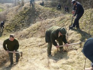 Despre criza lemnului, tăieri ilegale, urși și trufe cu directorul Direcției Silvice Neamț