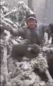Garda de mediu Harghita și polițiștii caută puii de urs scoși din bârlog de niște ”inteligenți” din Neamț