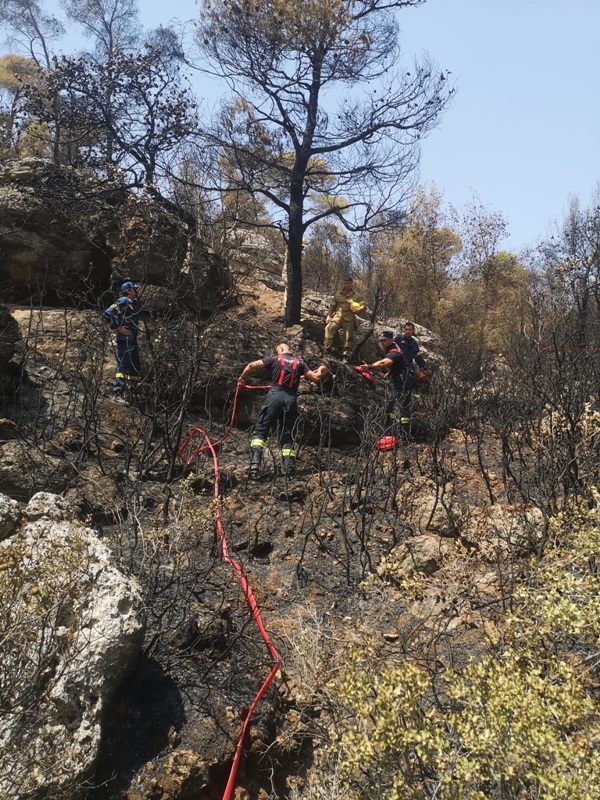 12 pompieri nemţeni, salvatori în Grecia. „Vă mulţumim din suflet! Suntem prieteni pe viaţă…”