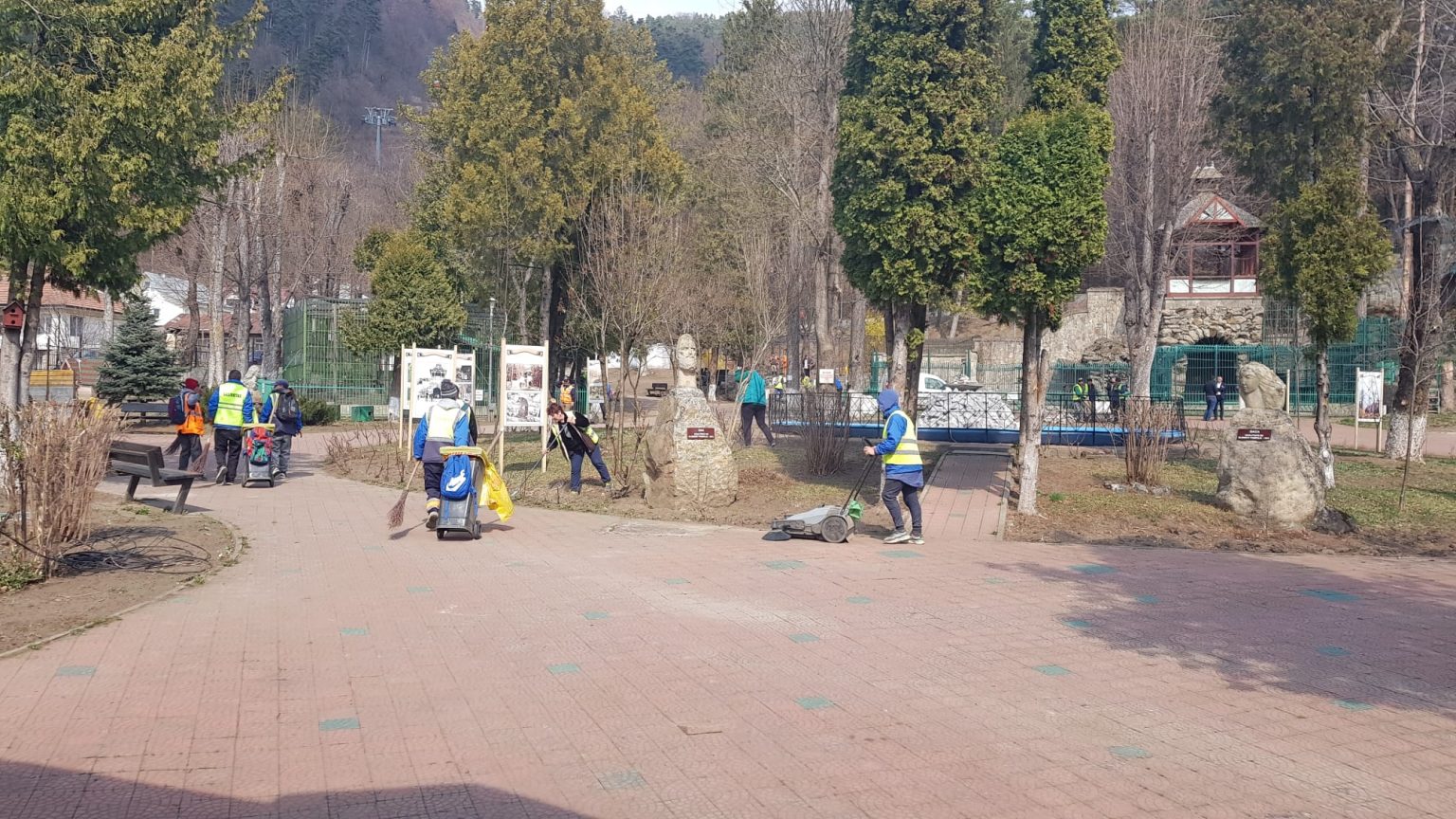 Stejar, extremă – urgență, de la o cafea: Parcul ”Nicu Albu” igienizat cu efective supranumerice! foto parc
